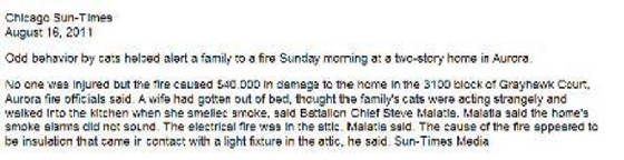 catsalarmfire-2.jpg